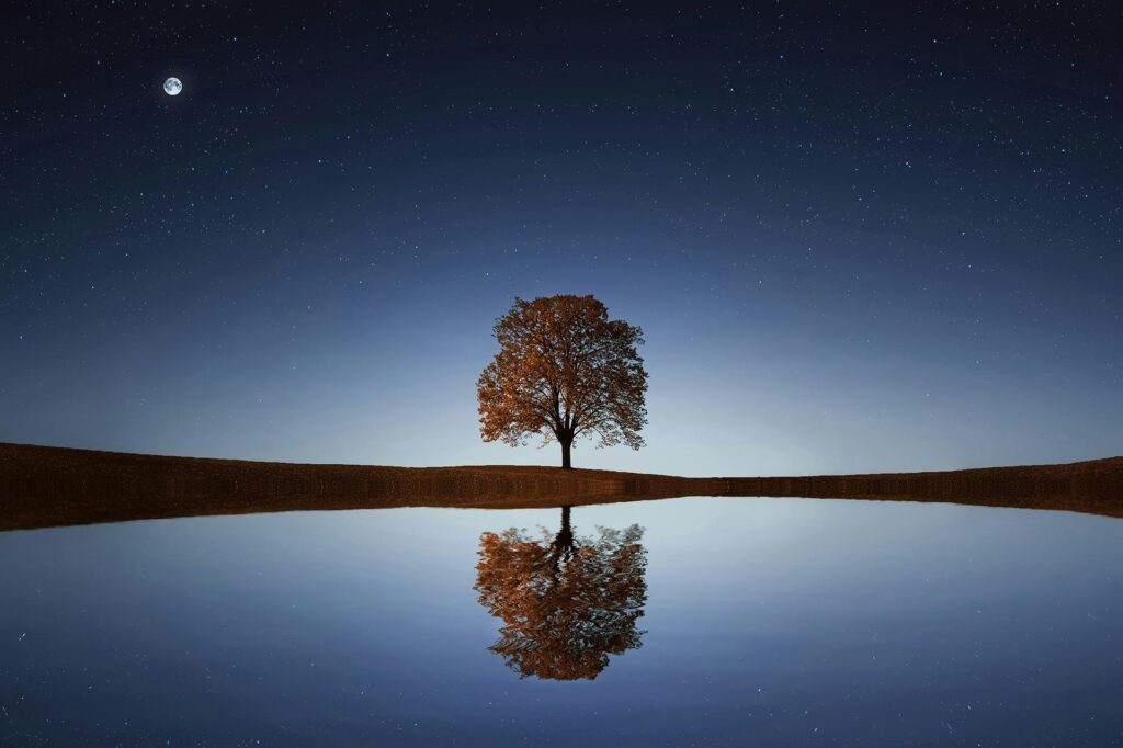 pexels photo 268533 268533 Serene night landscape with a solitary tree reflecting in calm waters beneath a starry sky.